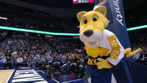 Rocky Mascot Collapse Sparks Debate on Safety Protocols